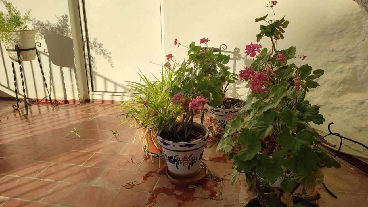 Casa Bellavista Villa Setenil De Las Bodegas Eksteriør billede